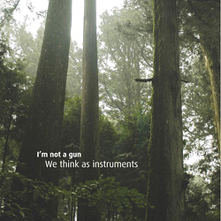 I m not a gun - We think as instruments